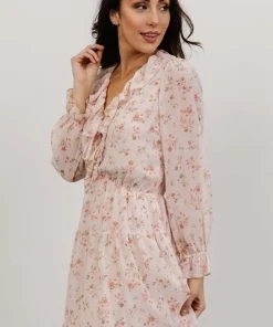 AK Doris Mini Dress | Blush Floral Dresses
